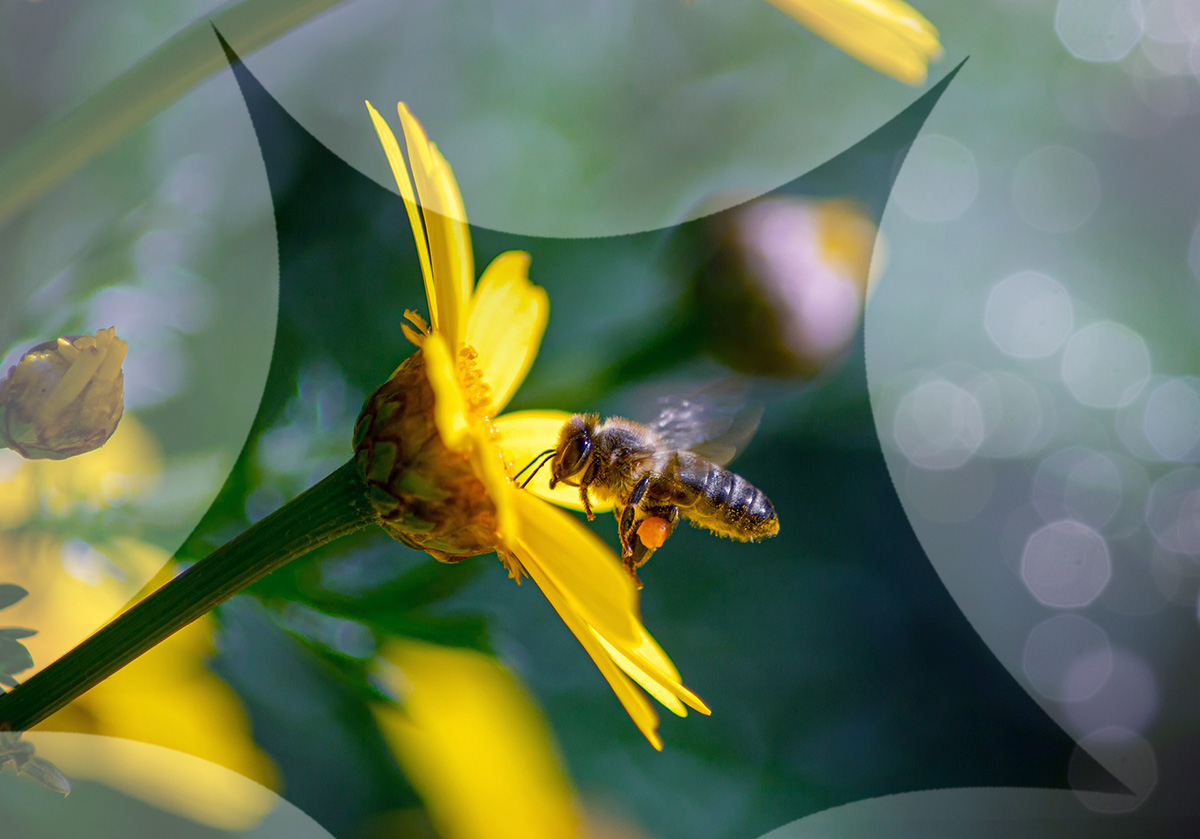 HELP Akademie: Handlungsempfehlungen zum Thema HELP Akademie: Handlungsempfehlungen zum Thema
